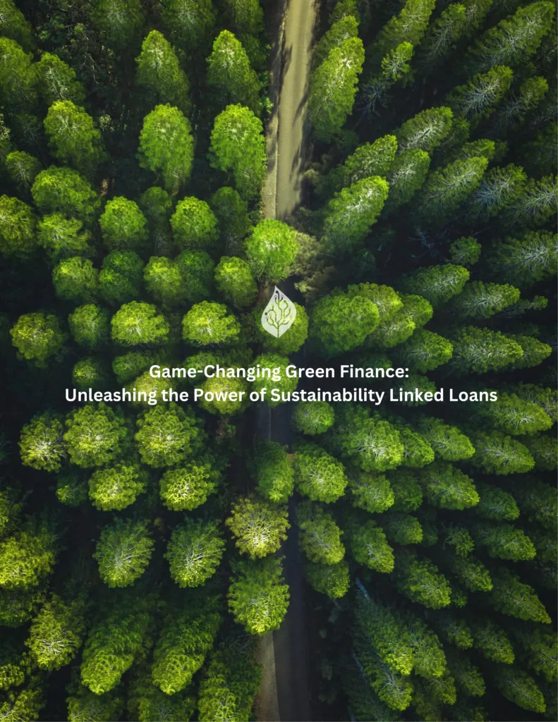 trees in the forrest looking from the bird view